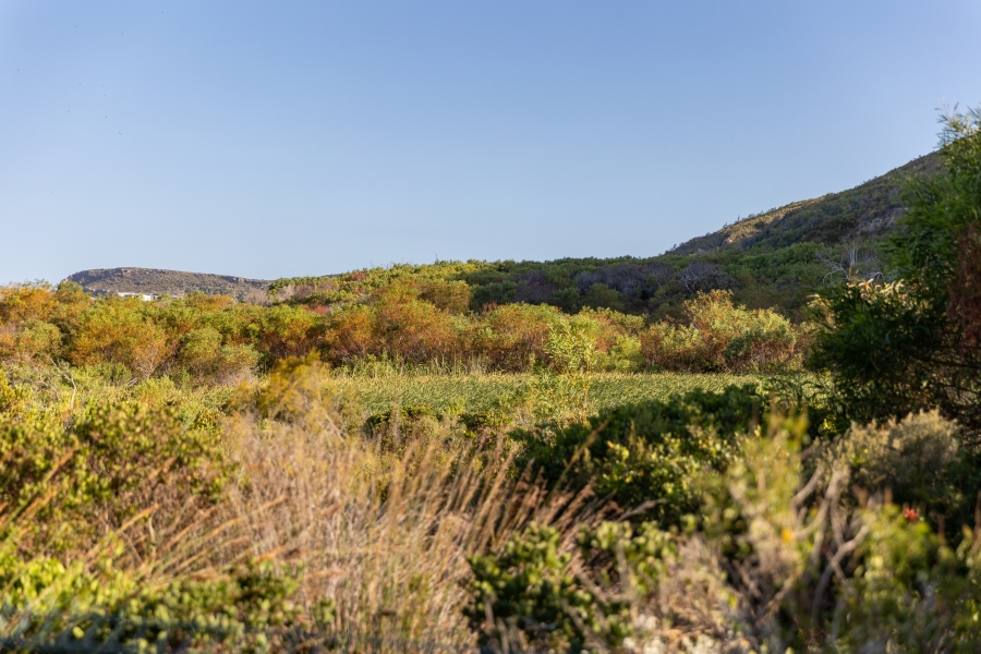 3 Bedroom Property for Sale in Whale Rock Gardens Western Cape